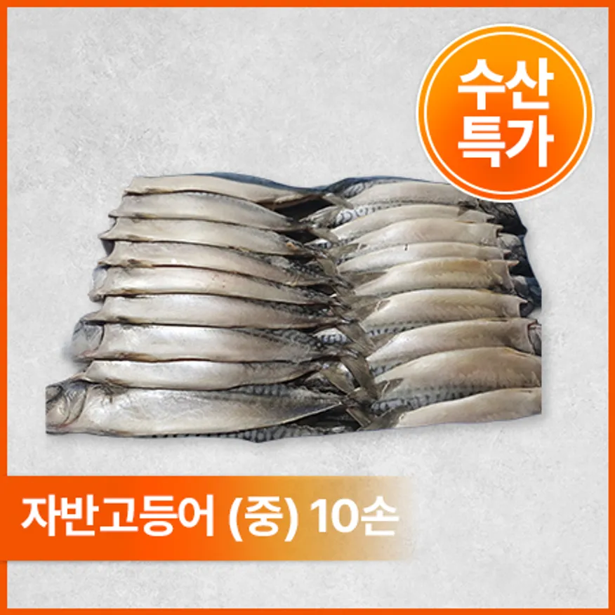 노르웨이 자반고등어(중_10손 6Kg/BOX) 이미지