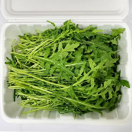 ★매일시장특가★ 와일드 루꼴라(200g/EA) 이미지