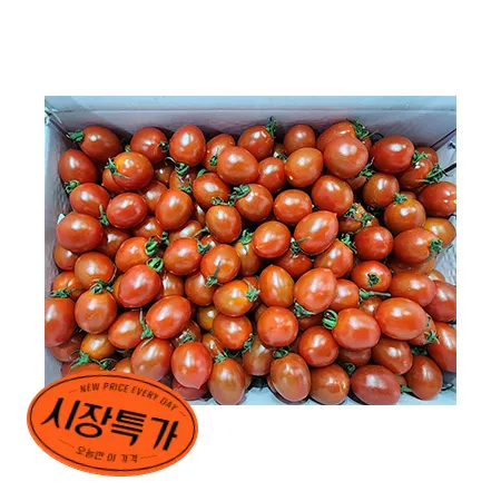 ★매일시장특가★ 대추방울토마토(15~25g/개 5Kg/BOX)