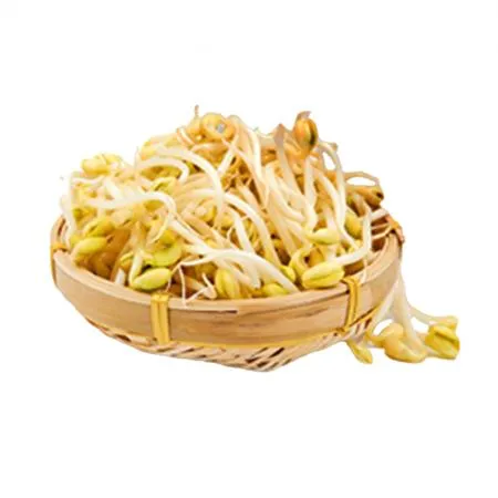 곱슬이 콩나물(단채 3.5Kg/BOX) 외국산