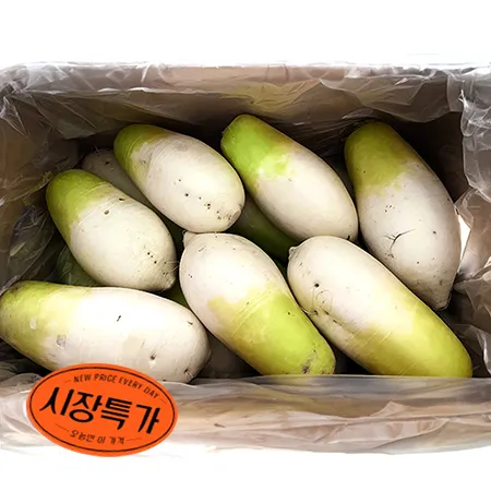 ★매일시장특가★ 무우( 12-14수내외 18kg/BOX) 무