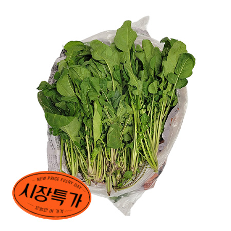 ★매일시장특가★ 루꼴라 (1Kg/EA)  초특가 농산 야채 채소 아루굴라