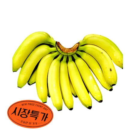 ★매일시장특가★ 바나나 (1송이 2Kg내외) 초특가 과일 베트남