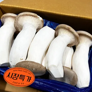 ★매일시장특가★ 새송이버섯(국산 2Kg/BOX) 송이버섯 버섯 초특가 채소 야채 국내산 새송이 버섯