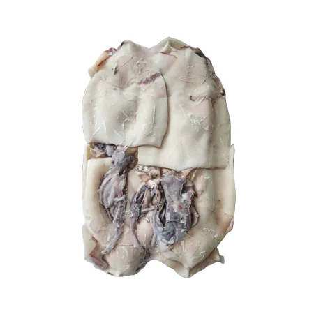 할복 오징어 (5Kg/BOX) 이미지