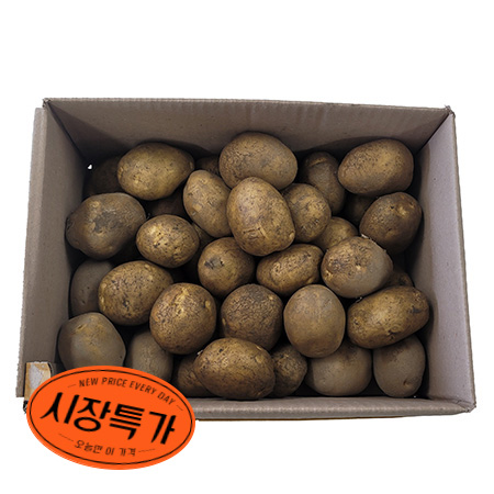 ★매일시장특가★ 감자 대 5Kg/BOX (80g이상/개)