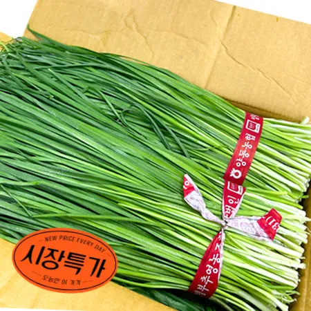 ★매일시장특가★ 부추(국내산, 상, 20단 내외, 10Kg/BOX)