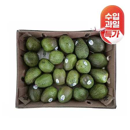 ★수입과일특가★ 아보카도(4Kg/BOX)