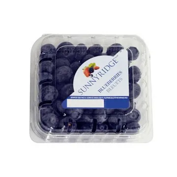 생블루베리(125g/EA)