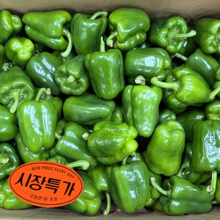 ★매일시장특가★ 청피망(상 10Kg/BOX) 초특가 채소 야채 피망