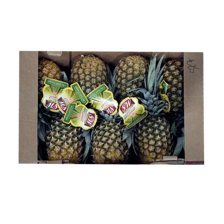 골드파인애플(7수 12Kg/BOX)/필리핀산