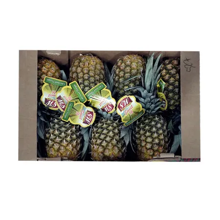 골드파인애플(7수 12Kg/BOX)/필리핀산