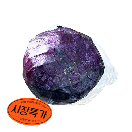 ★매일시장특가★ 적채 (수입산 통) 적양배추