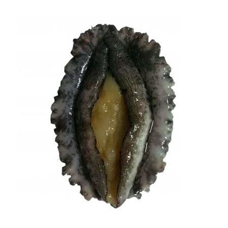 전복(생물_15~18마리/kg KG)/국내산