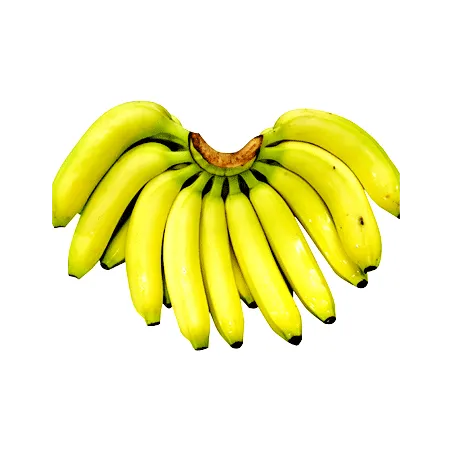 ★수입과일특가★ 바나나(1송이 2Kg/EA) 초특가 과일 이미지