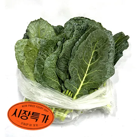 ★매일시장특가★ 케일(상 500g/EA) 초특가 채소 야채 쌈케일 