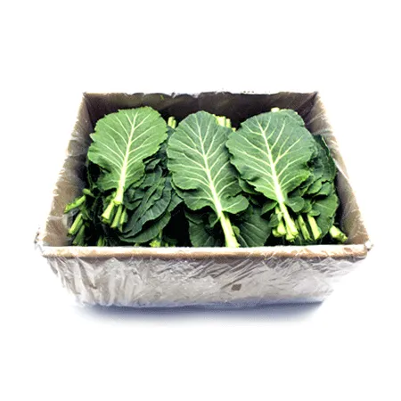 쌈케일(쌈채용 2Kg/BOX)