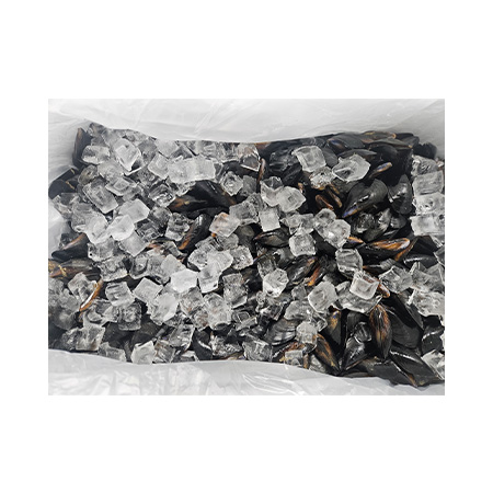 남선푸드 홍합(FO용 생물_손질 10Kg/BOX)