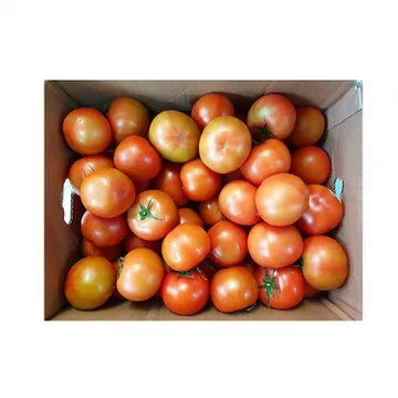 토마토(완숙_34~50과 5Kg/BOX)/국내산