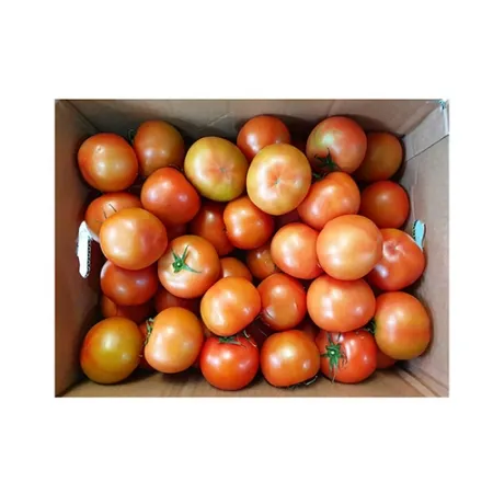 토마토(완숙_34~50과 5Kg/BOX)/국내산