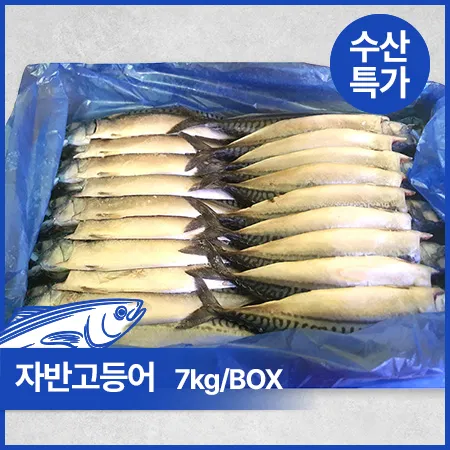 ★초특가★ 노르웨이 자반고등어(대_10손 7Kg/BOX)