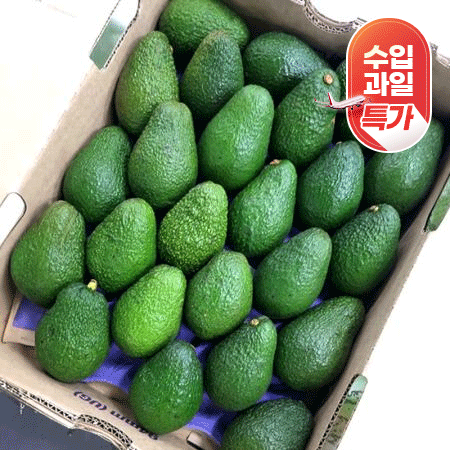 ★수입과일특가★ 아보카도(30과 5.5Kg/BOX)