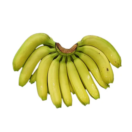 바나나(1송이_13~15개입 1.5Kg/PAC)/필리핀산