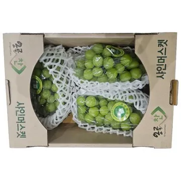 샤인머스캣(3~4수 2Kg/BOX)