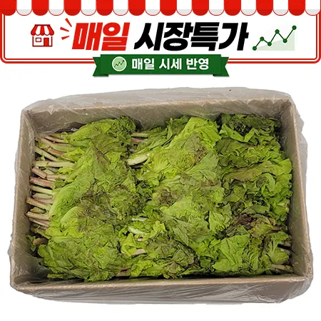 ★매일시장특가★ 적쫑상추(4Kg/BOX)