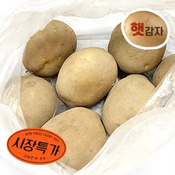 ★매일시장특가★ 감자(특 1Kg/EA) 100~160g/EA
