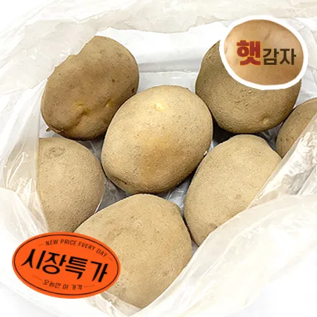 ★매일시장특가★ 감자(특 1Kg/EA) 100~160g/EA