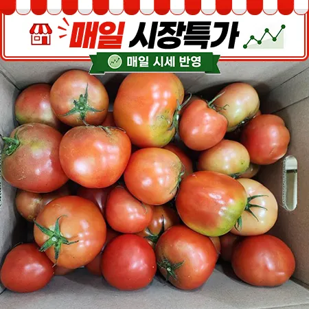 ★매일시장특가★ 토마토 (완숙, 무선별 주스용 5Kg/BOX)