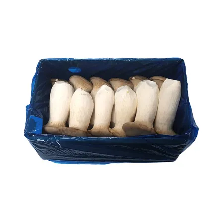 이츠웰 새송이버섯(상품 친환경 2Kg/BOX)/국내산