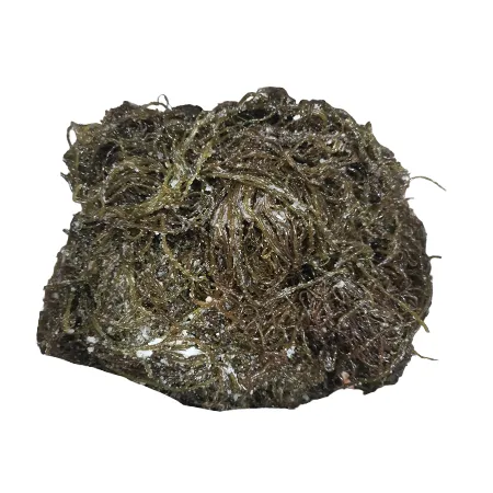염장꼬시래기(5Kg/BOX)/국내산 이미지