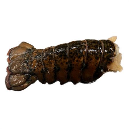 랍스터테일(등커팅_110g/마리_오차범위5%내외 110g/EA)
