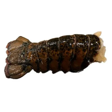 랍스터테일(등커팅_110g/마리_오차범위5%내외 110g/EA)