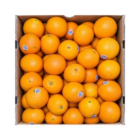 오렌지(113과 17Kg/BOX)