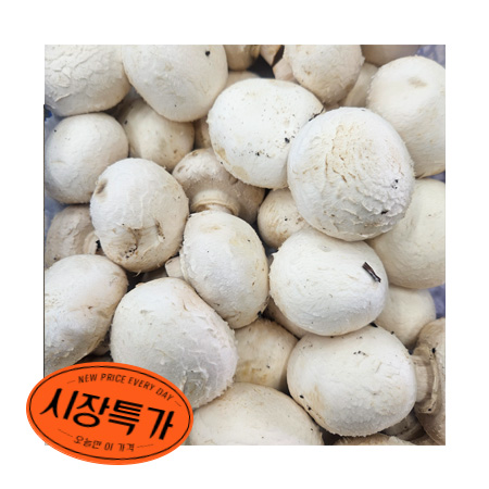 ★매일시장특가★ 양송이버섯 500G (중국산) 양송이 버섯 초특가