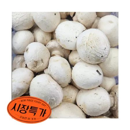 ★매일시장특가★ 양송이버섯 500g (중국산)