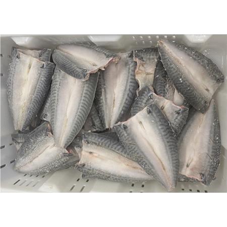 칼집고등어(노르웨이산_할복_머리&내장제거_190~230g/마리 KG)