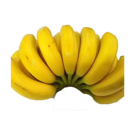 ★매일시장특가★ 바나나 (1송이 1.5Kg내외) 초특가 과일 베트남 이미지