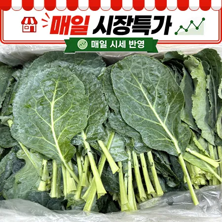 ★매일시장특가★ 케일(상 2Kg/BOX)