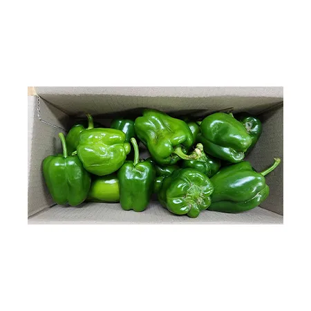 ★매일시장특가★ 청피망 (실속, 1Kg/EA) 못난이 이미지