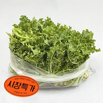 ★매일시장특가★ 치커리(상 500g/EA) 초특가 채소 야채