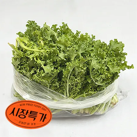 ★매일시장특가★ 치커리(상 500g/EA) 초특가 채소 야채