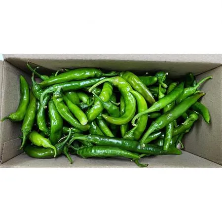 청양고추 (강서시장, 실속 1Kg/EA)