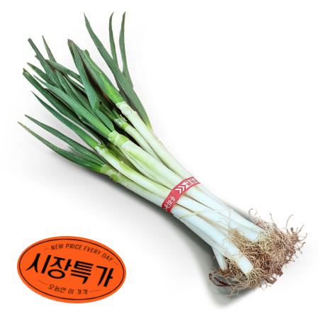 ★매일시장특가★ 국산 흙대파 실속 1단 초특가행사 대파