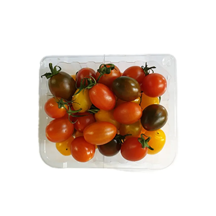 컬러대추방울토마토(500g/EA)/국내산 이미지