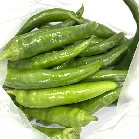 ★매일시장특가★ 프레시원 아삭이고추(상 500g/EA) 오이고추 이미지