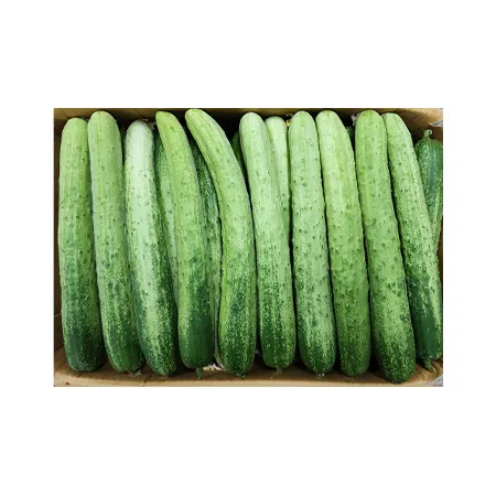 ★매일시장특가★ 다다기오이 (특, 50입 내외, 9~10Kg/BOX)